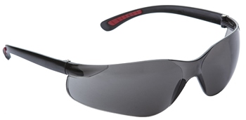 6PHI3 OCHELARI DE PROTECTIE PHI, LENTILA FUMURIE Euro Protection